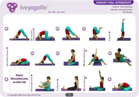 Salud Correr: 5 Tipos de Yoga  Tipos de yoga, Yoga, Yoga flow