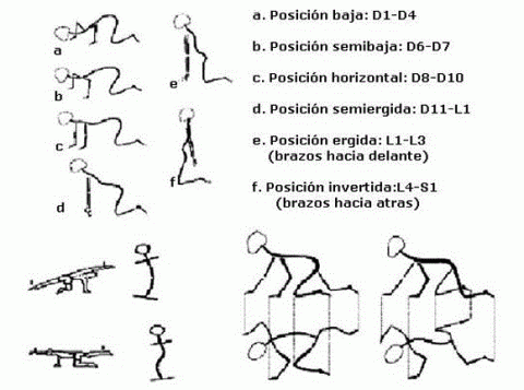 ejercicios de Klap. Aspectos importantes en la escoliosis