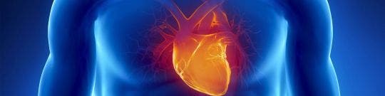 Cardio-Vascular