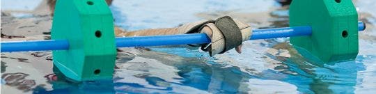 Hidroterapia. Fisioterapia en el agua