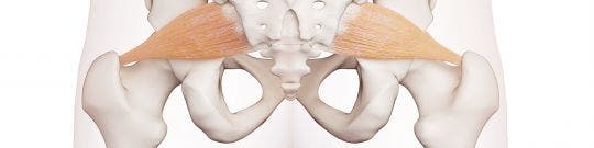 Osteopatía de pubis o pubalgia