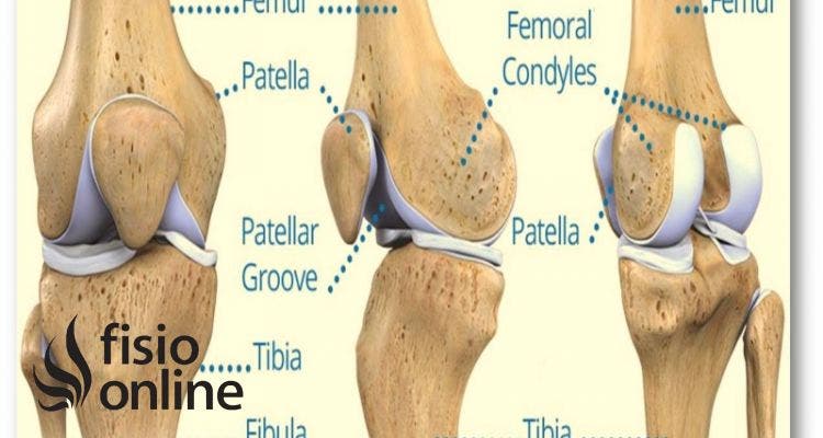 articulación femoropatelar