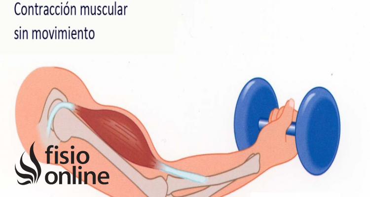 contracción isométrica