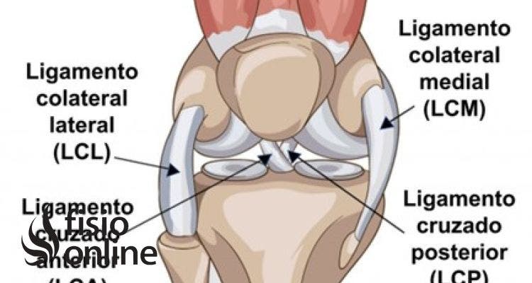 Rotura de ligamentos cruzados