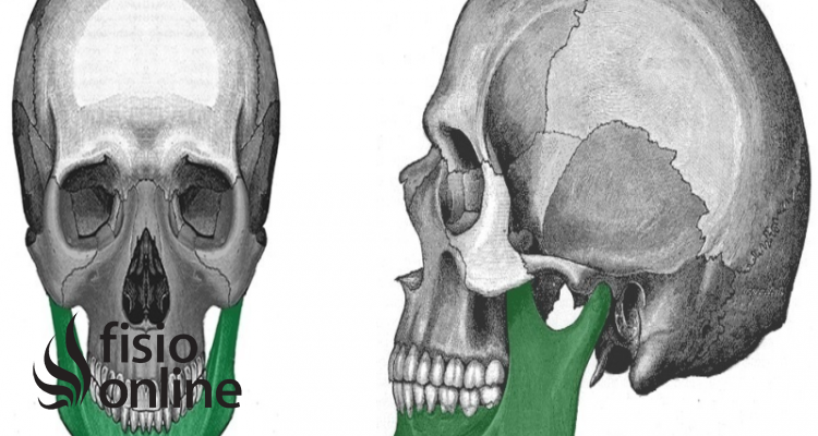 Maxilar inferior