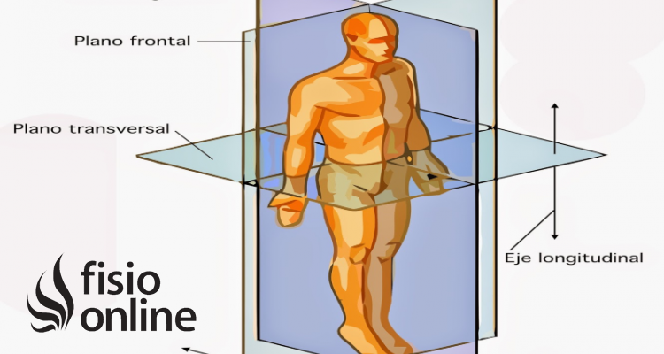 plano transversal o axial