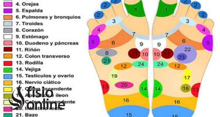 reflexología