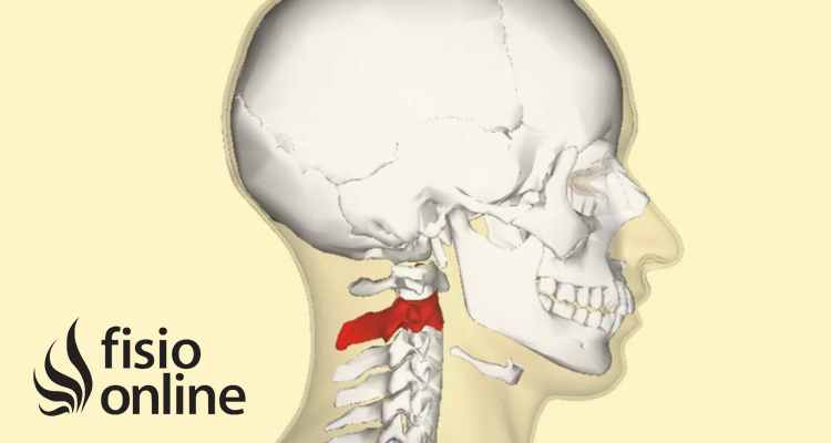 Vértebras Cervicales