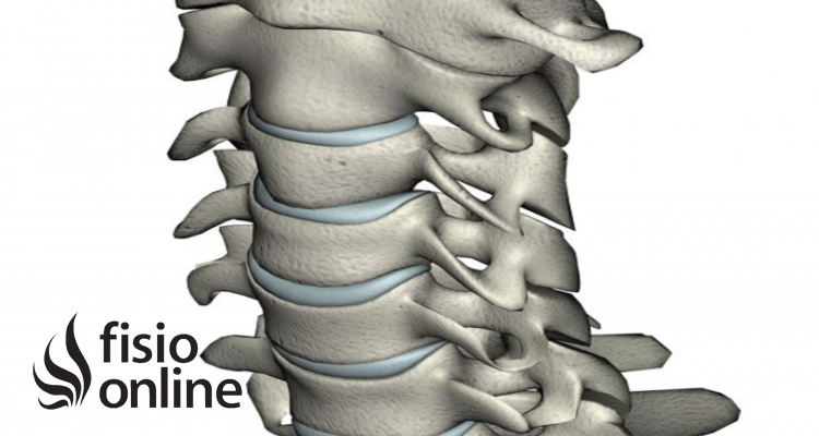 Apófisis odontoides