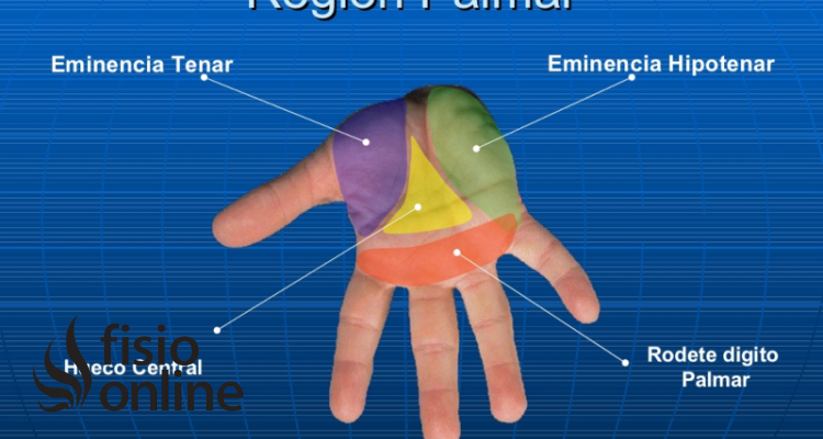 Eminencia Hipotenar