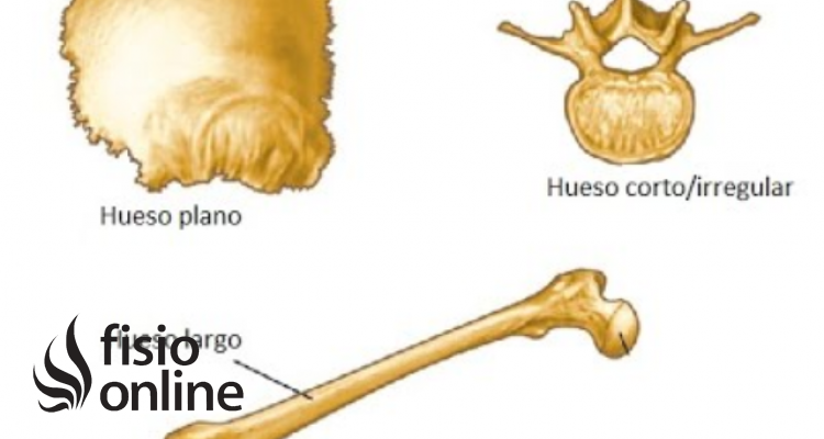 Huesos irregulares