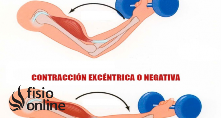 contracción isotónica