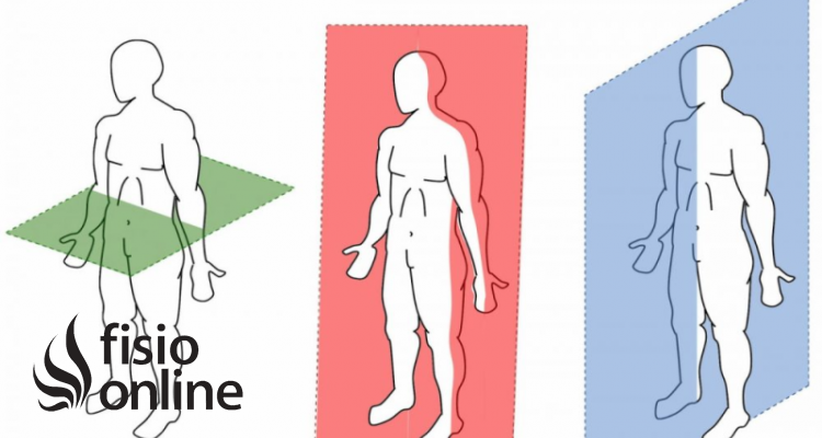 plano coronal o frontal