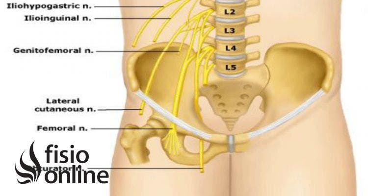 plexo lumbar