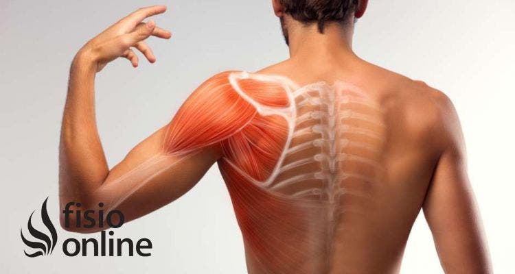 Ejercicios y estiramientos para evitar que aparezca el dolor de hombro
