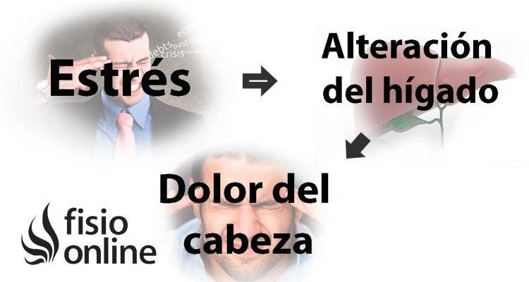 Relación del estrés con las cefaleas y las migrañas 