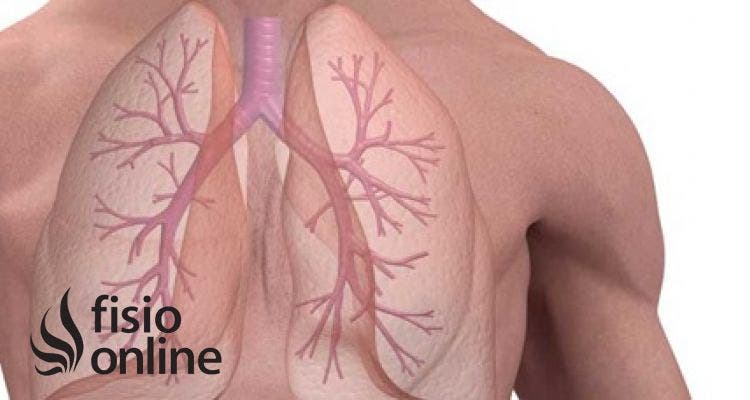 ¿Qué son los Volúmenes pulmonares?