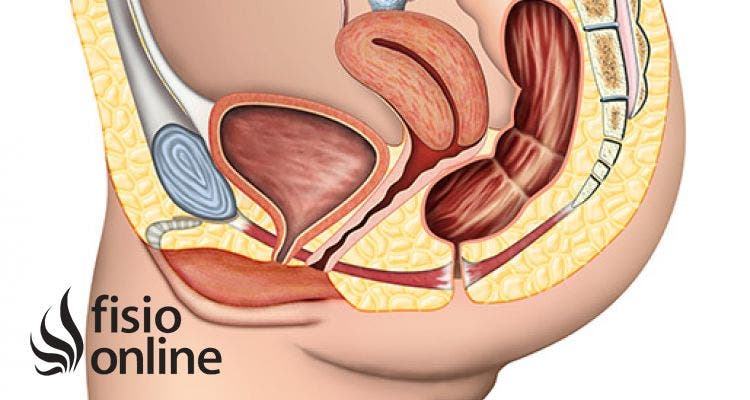 ¿Qué es la Incontinencia urinaria? ¿Cómo se trata?