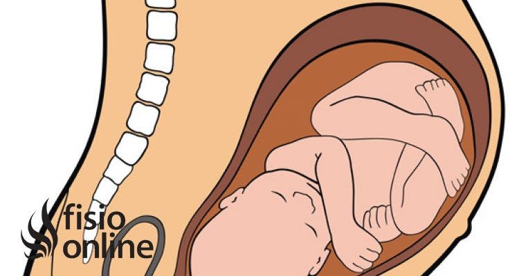 Cambios anatómicos y fisiológicos durante el parto