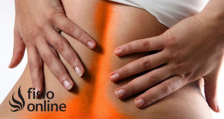 Estiramientos musculares en la prevención de la lumbalgia (lumbago). Importancia y técnicas de estiramiento