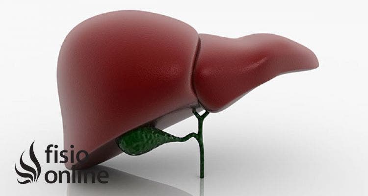 Cuidados para el hígado que evitan y mejoran las cefaleas y migrañas