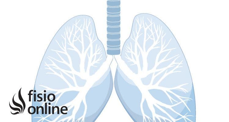 ¿cómo puedo obtener mejores pulmones?