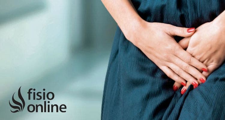 Fisioterapia en la Incontinencia Urinaria de Esfuerzo (IUE)