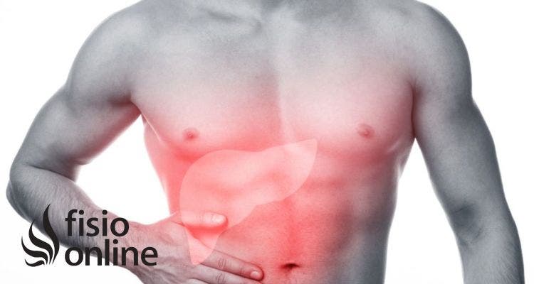 ¿Sabías que tu hígado puede estar afectando tu cuello? Relación visceral y cervicalgia