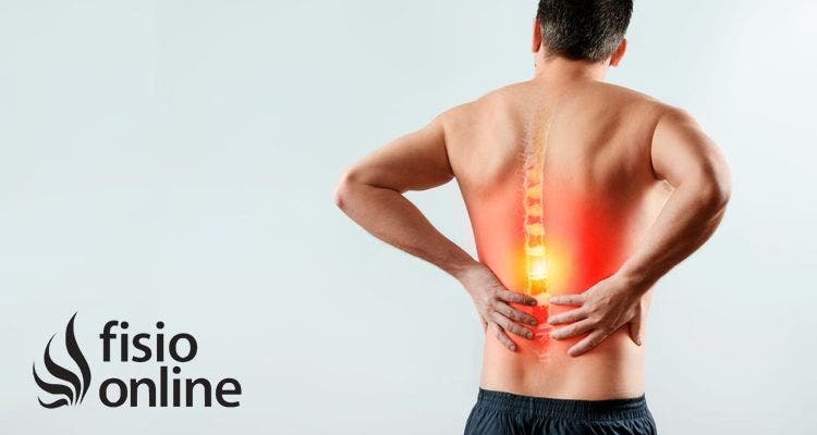 ¿Por qué me duele la espalda si no he hecho nada? El origen visceral del dolor que nadie te cuenta