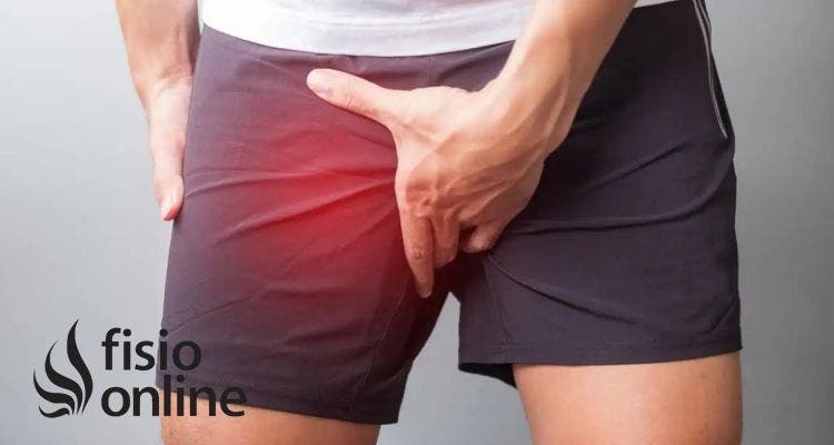 Diagnóstico de la pubalgia u osteopatía de pubis. Cómo saber si la padeces.