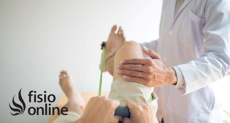 Tendinitis Rotuliana: Ejercicios, Fisioterapia y Nutrición para una Recuperación Completa
