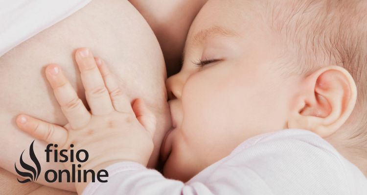 Posiciones para asegurar una lactancia materna exitosa