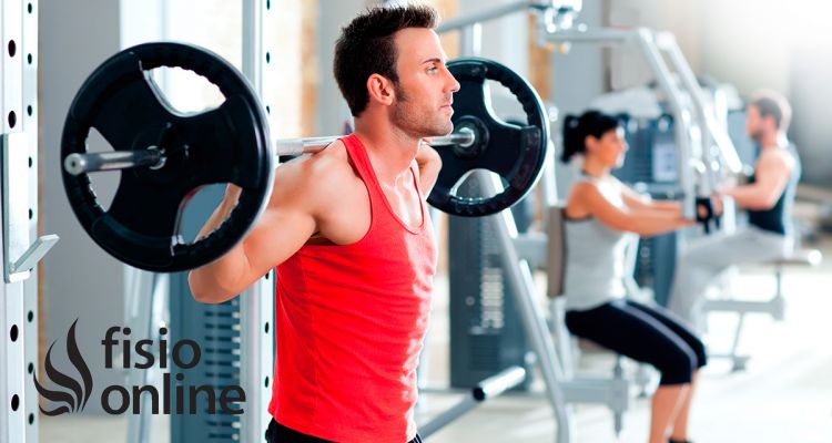 Los músculos o grupos musculares más importantes a la hora de entrenar la fuerza