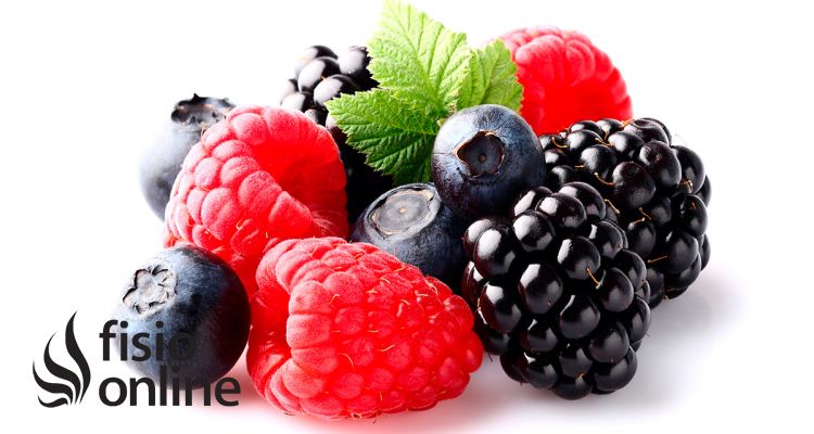 Los polifenoles, la clave para una dieta saludable.