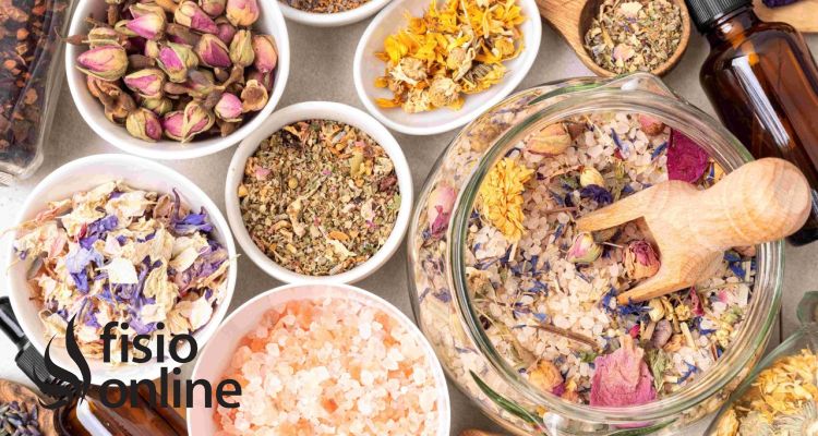 Beneficios de la Fitoterapia en el Tratamiento de Lesiones y Dolor Crónico