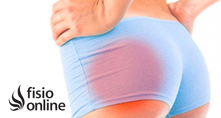 Sindrome Piramidal Al Lado Izquierdo Causas Sintomas Y