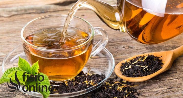 Depurar el cuerpo para recuperar el equilibrio: cómo una limpieza profunda puede mejorar tu digestión, energía y salud integral