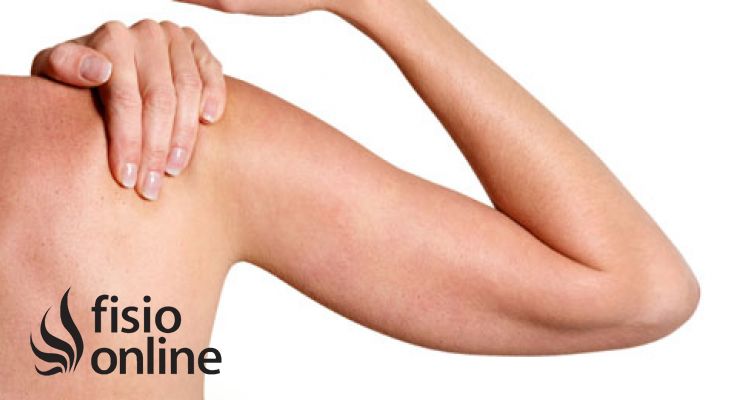 Resultado de imagen para IMAGEN HOMBRO