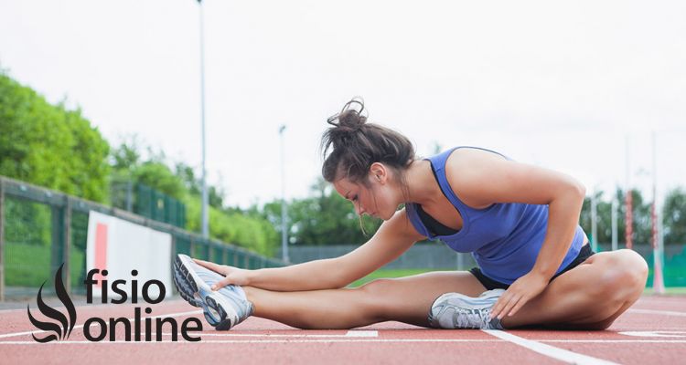 Importancia de los estiramientos musculares en el deporte