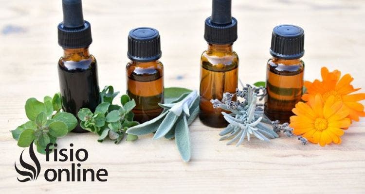 Fitoterapia para el dolor musculoesquelético: plantas medicinales con efecto antiinflamatorio
