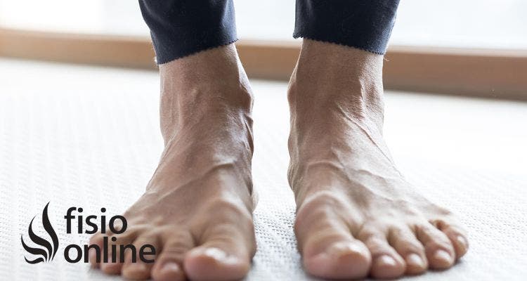 La relación entre los pies y la salud de tu pelvis: claves posturales olvidadas