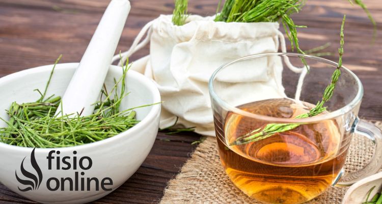 Remedios naturales y plantas medicinales para los mareos por cervicales