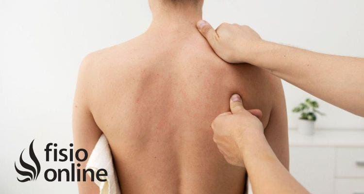 Puntos Gatillo y su Relación con el Estrés: Desbloquea tu Cuerpo y Mejora tu Bienestar