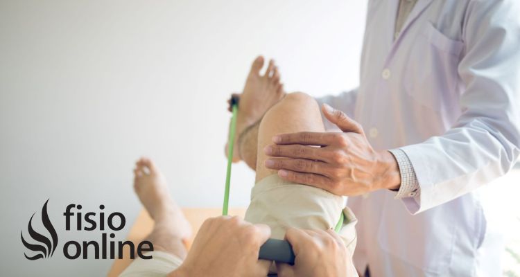 Tendinitis Rotuliana: Ejercicios, Fisioterapia y Nutrición para una Recuperación Completa