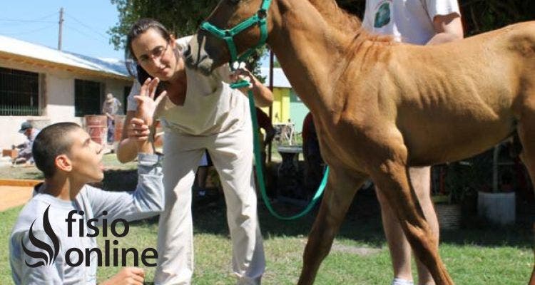 Equinoterapia: Los caballos mejoran tu salud