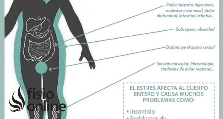 El estrés, sus repercusiones en nuestro cuerpo y su relación con los dolores de espalda y cefaleas