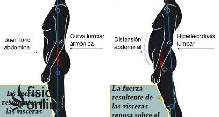 Observa la gran importancia de la correcta postura corporal para evitar lesiones y mejorar tu salud