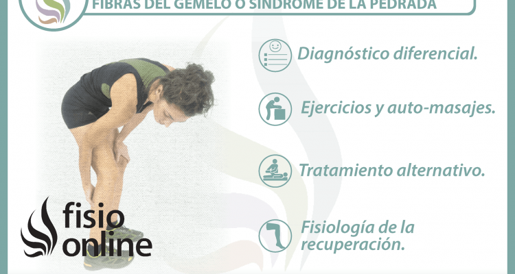  4 claves para entender y tratar una rotura de fibras del gemelo o síndrome de la pedrada