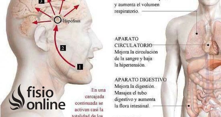 La risa y sus efectos beneficiosos en el cuerpo y la salud