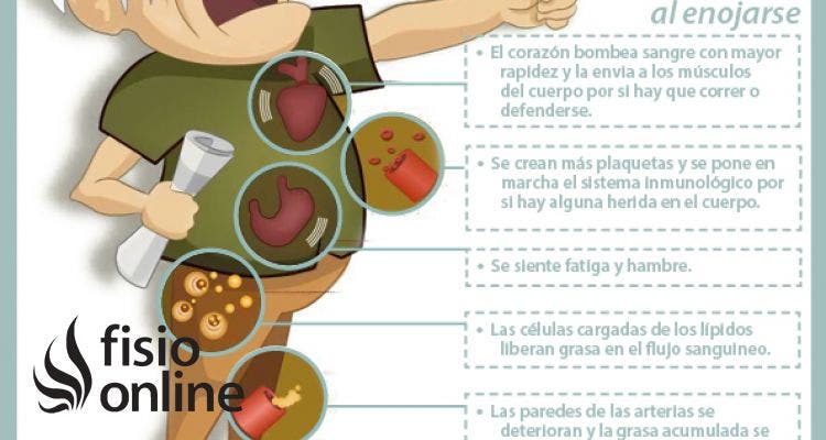 Efectos y consecuencias del enfado y el estrés sobre el organismo